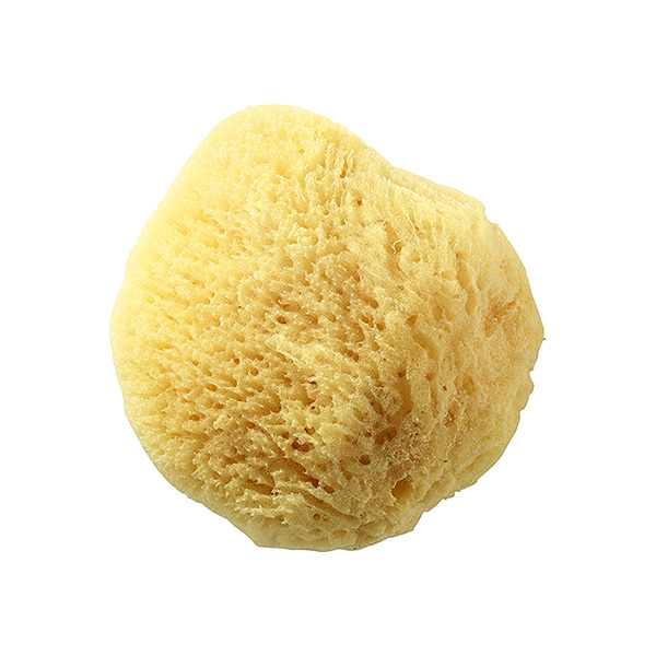 Term�szetes sminkelt�vol�t� szivacs