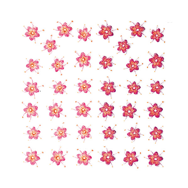 �ntapad� k�r�mmatrica natural flowers