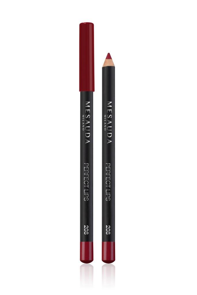 PERFECT LIPS 208 Ruby 1,1 g
